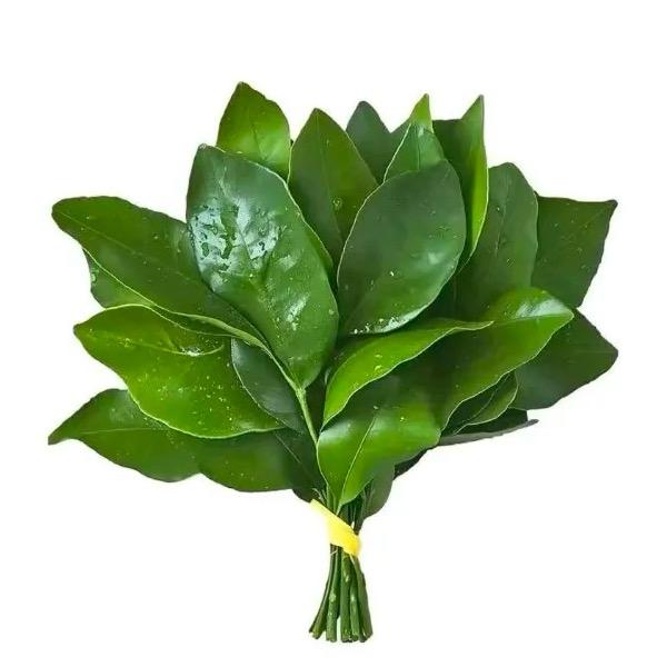 李香玉朋友圈- 待产