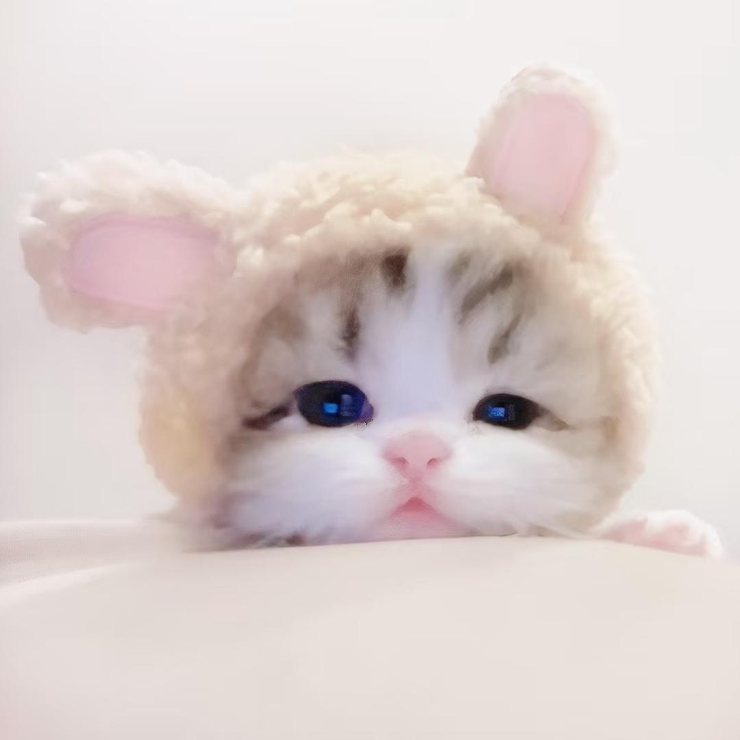Morute