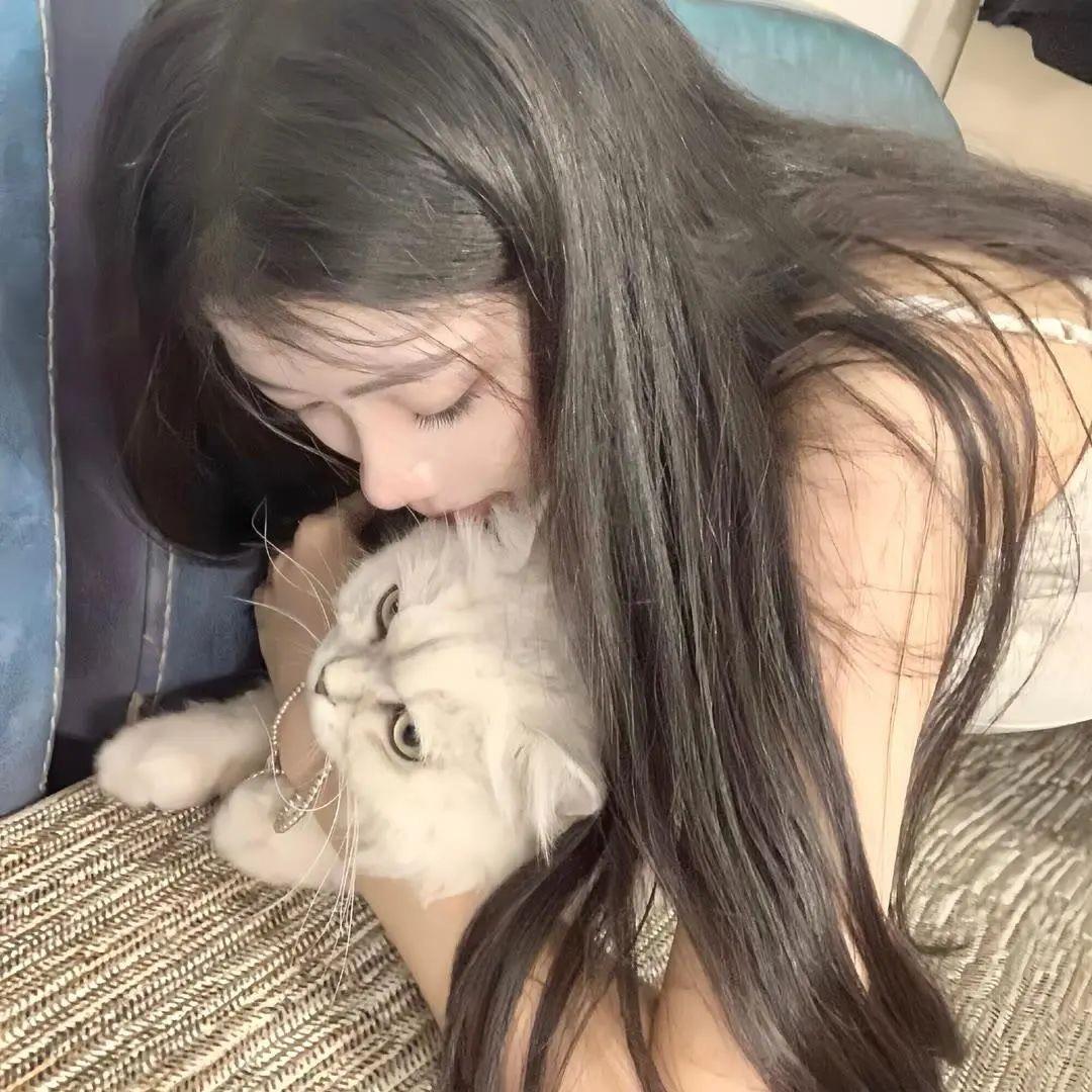 两只小猫