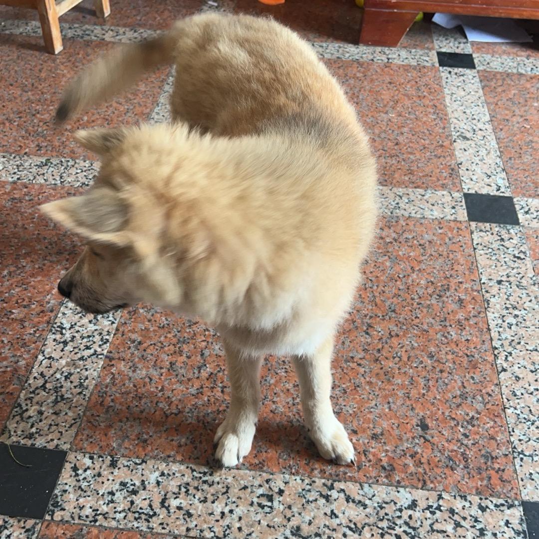 犯错就要改