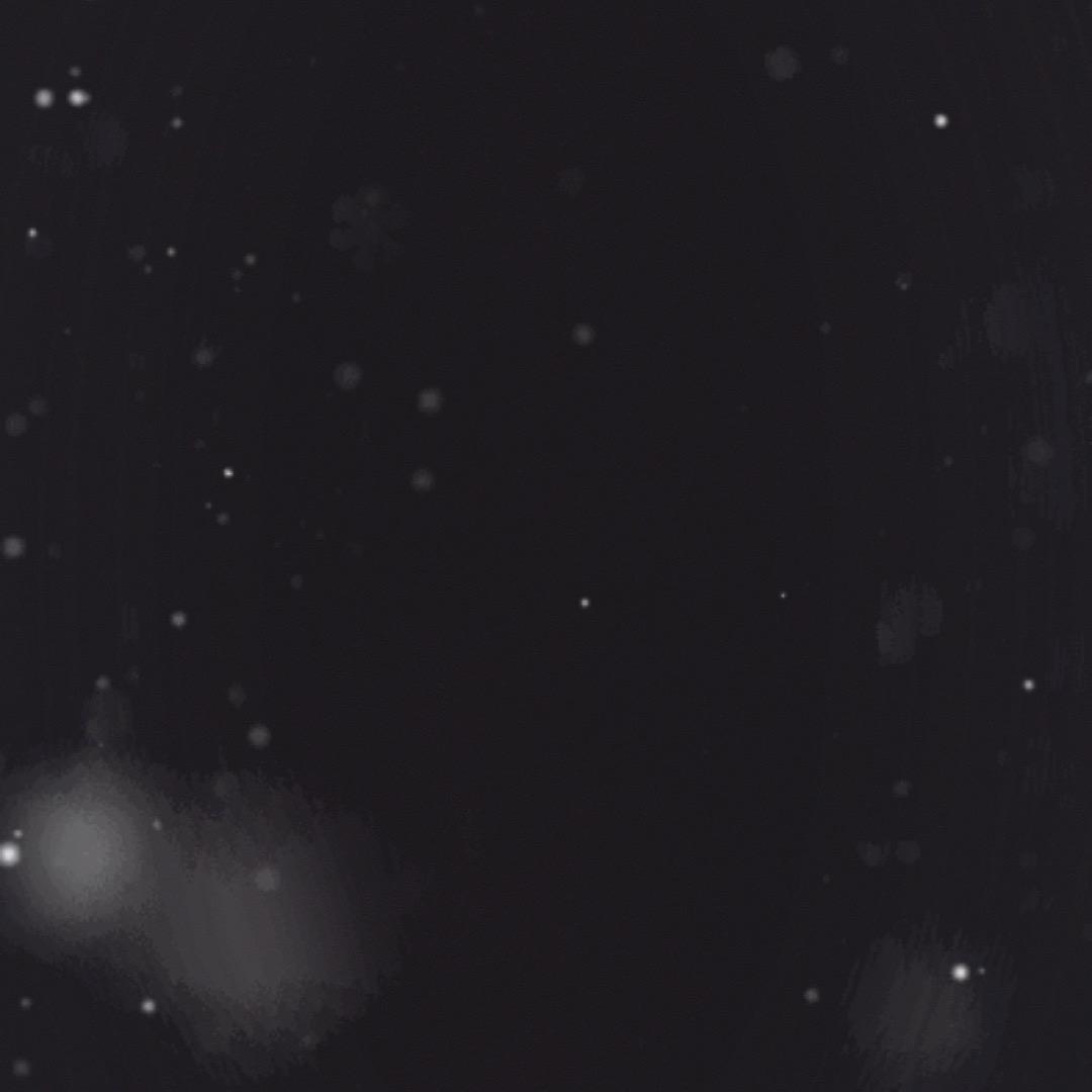 柒七