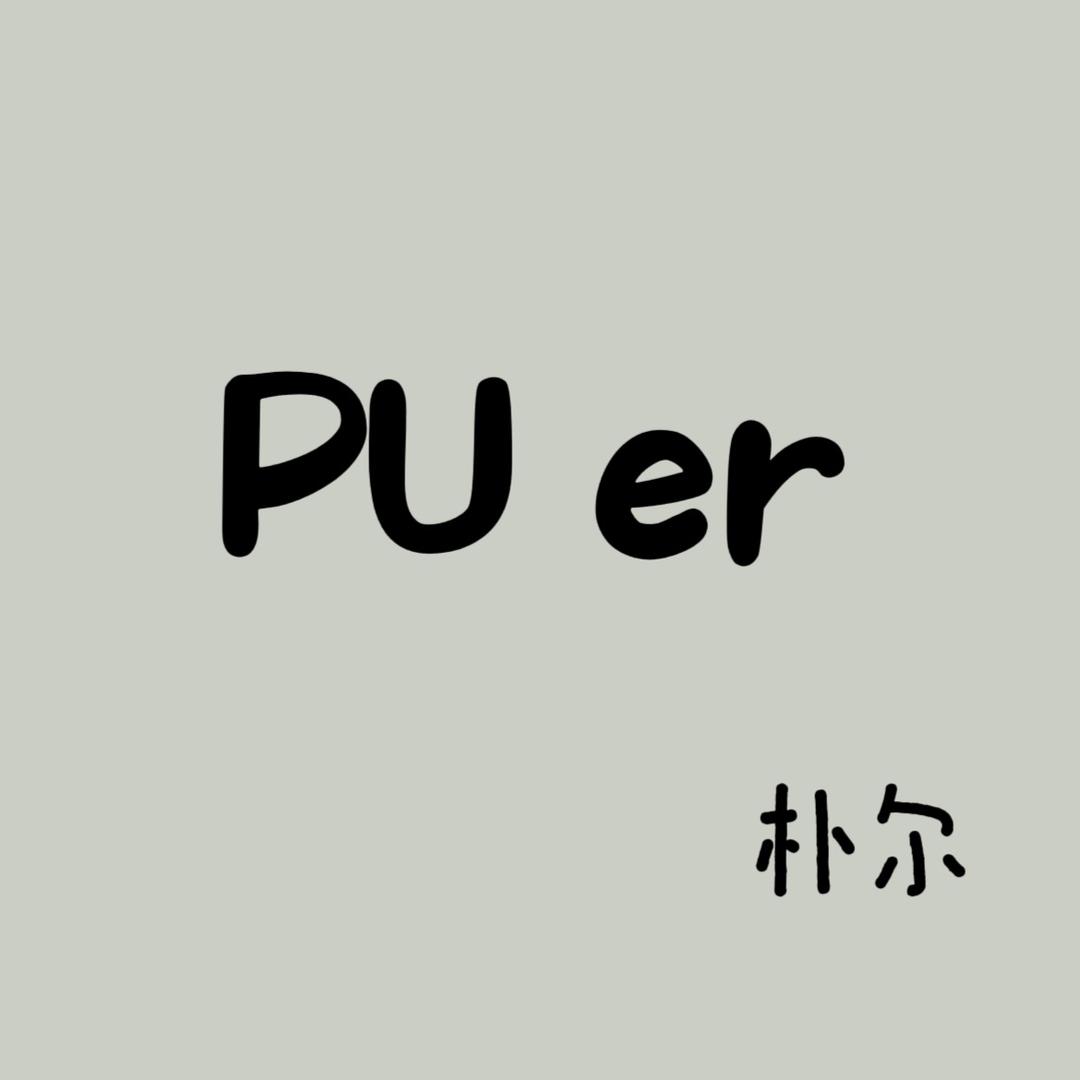PU re 朴尔