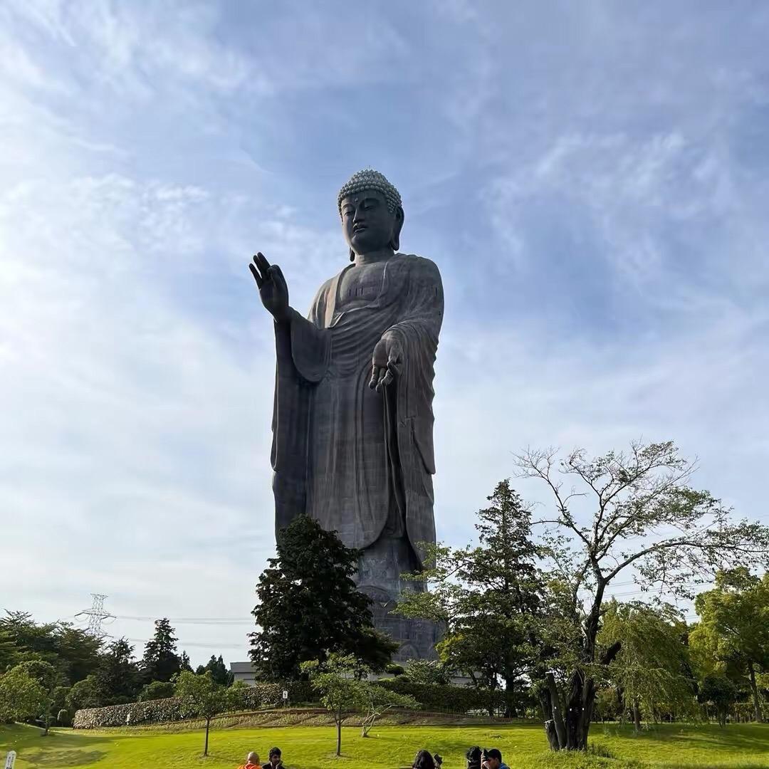 万卜心得