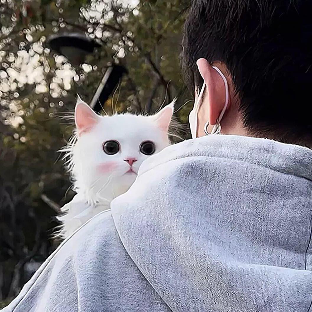 她说