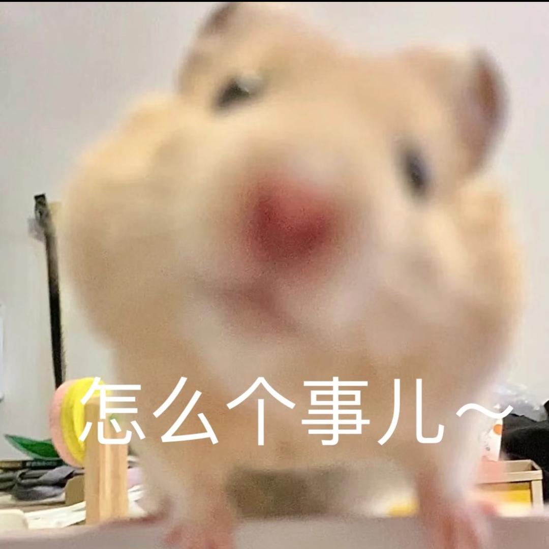 忘了今天吃什么