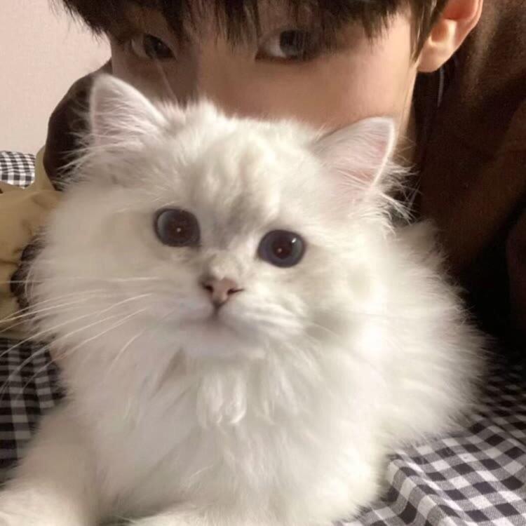 𝙅𝙖𝙘𝙆𝙨𝙤𝙣