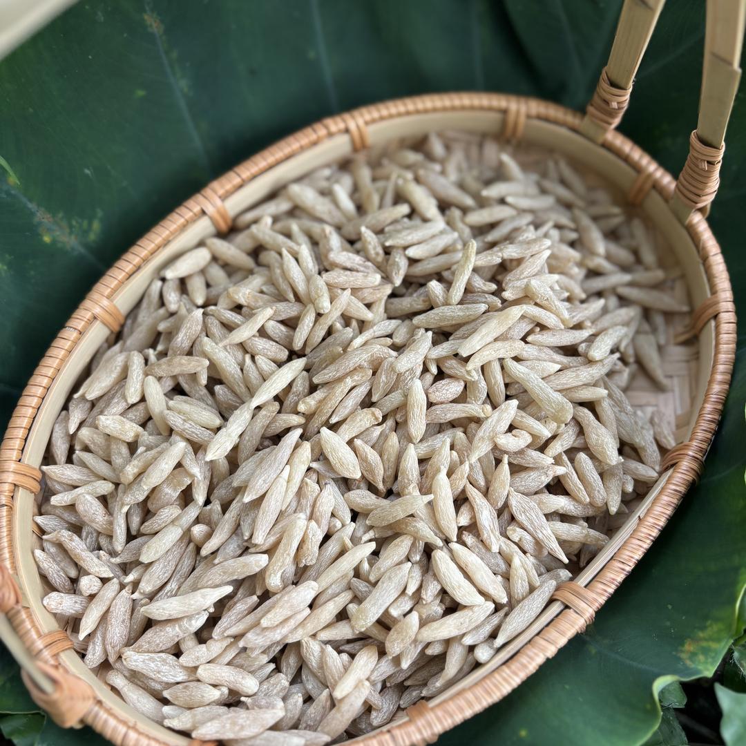 小荷花道地川麦冬（GAP种植基地）