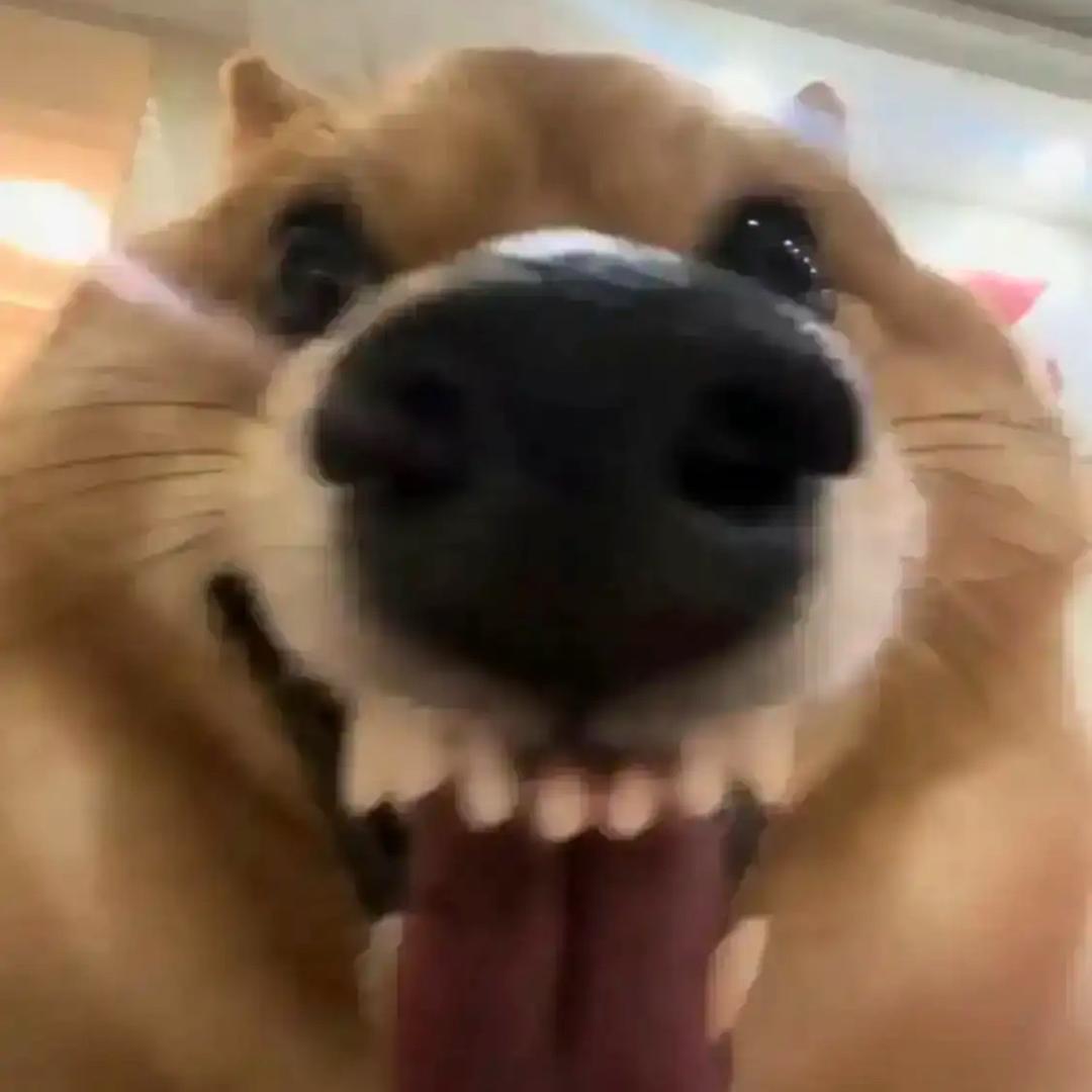 剑二十三