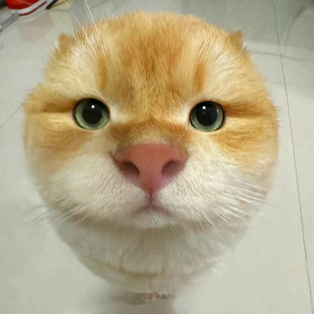喵欸