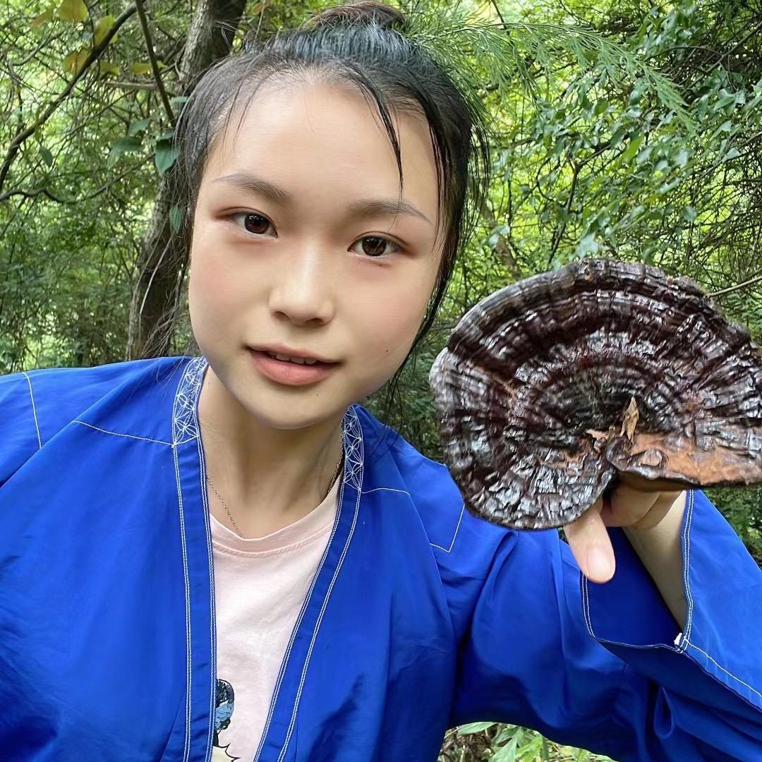 灵芝先生的小店