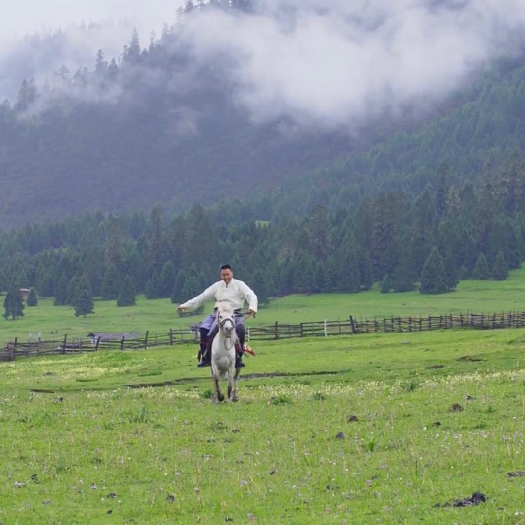 黄花绿林（凪卄）