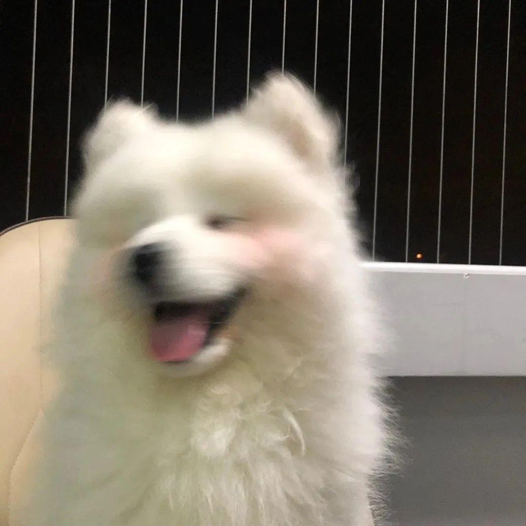 cf嘿嘿