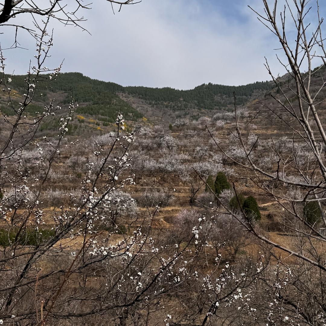 淄博东东峪