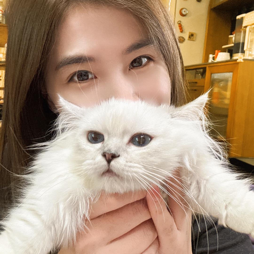 短腿小夏花
