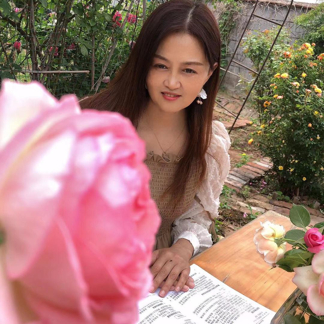 小甜歌