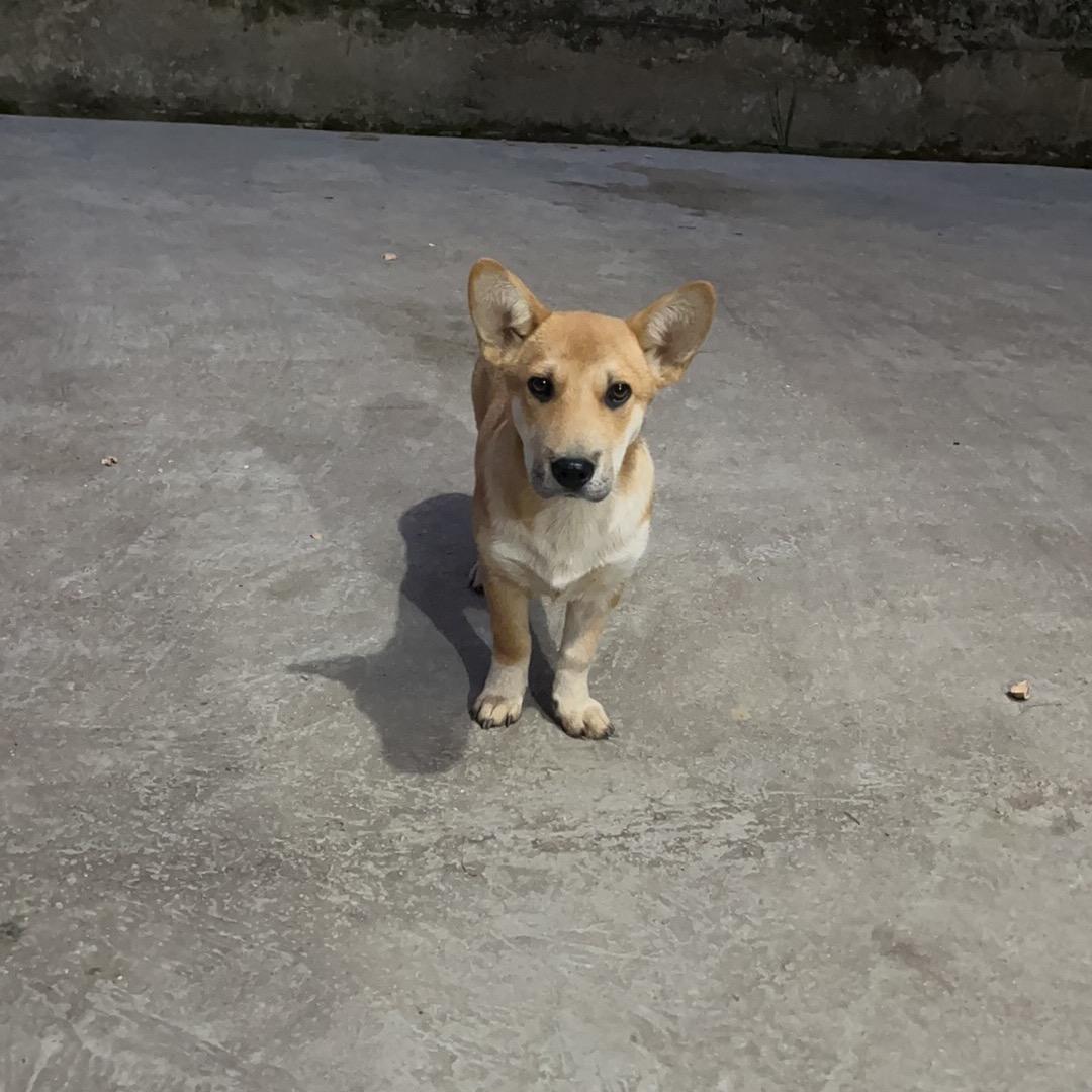 小宁收币