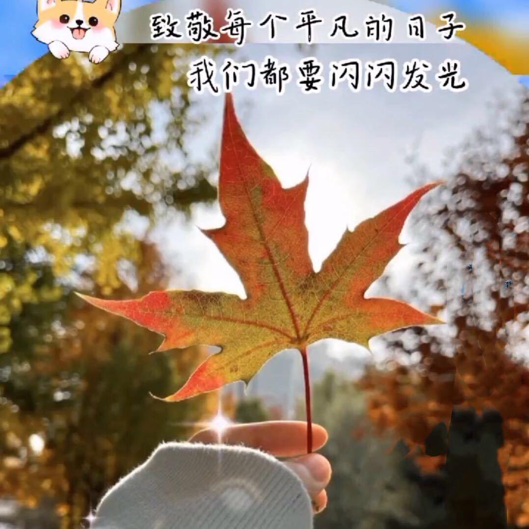 遇见你