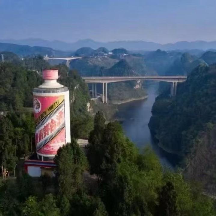 酱酒小铺老板娘