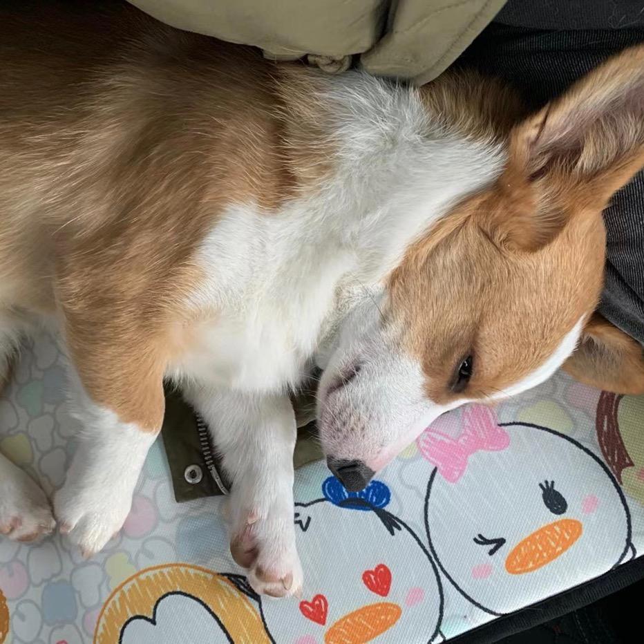 冯奇宝爱啃脚💕🌈