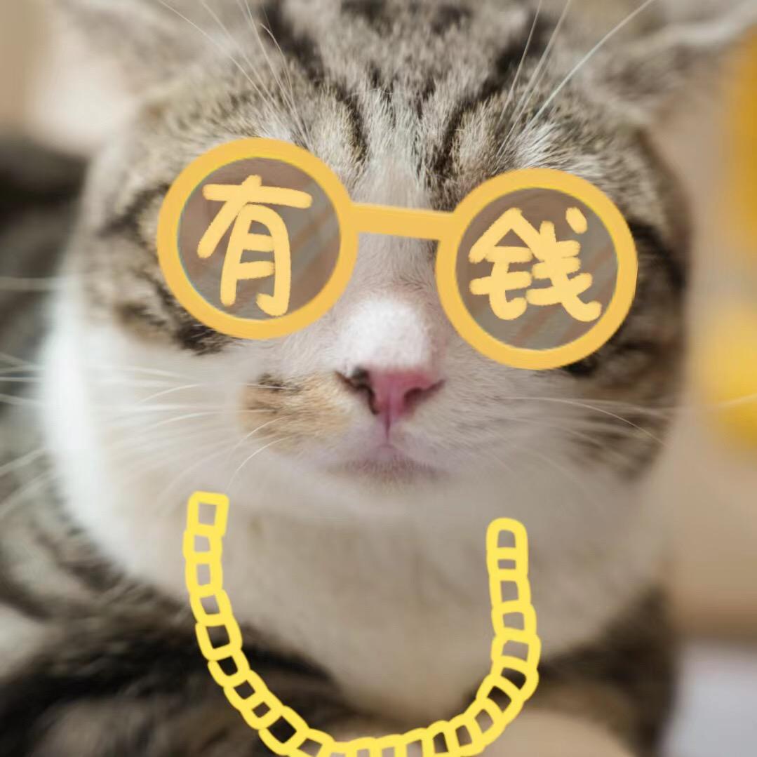 蛋蛋是只矮脚喵🐱