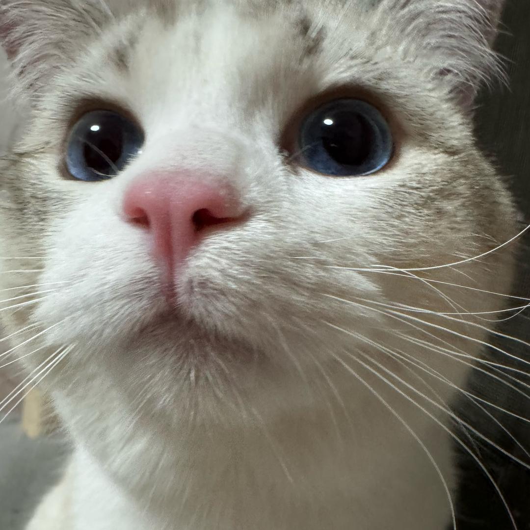 刘00的日常