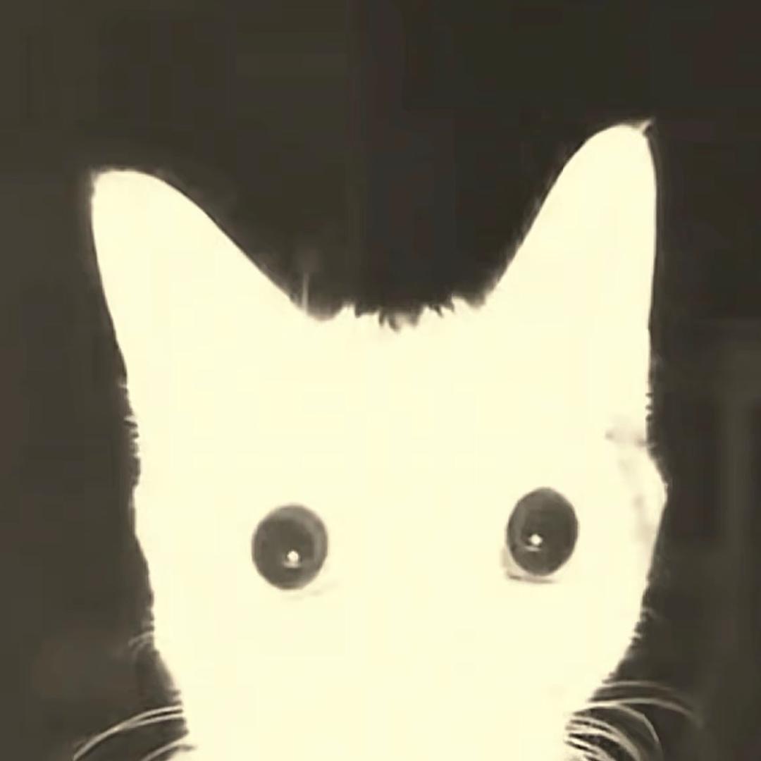 哈哈哈