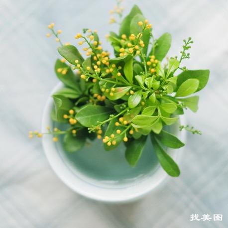 🌻暖ᨶ႒ᩚ阳☀️