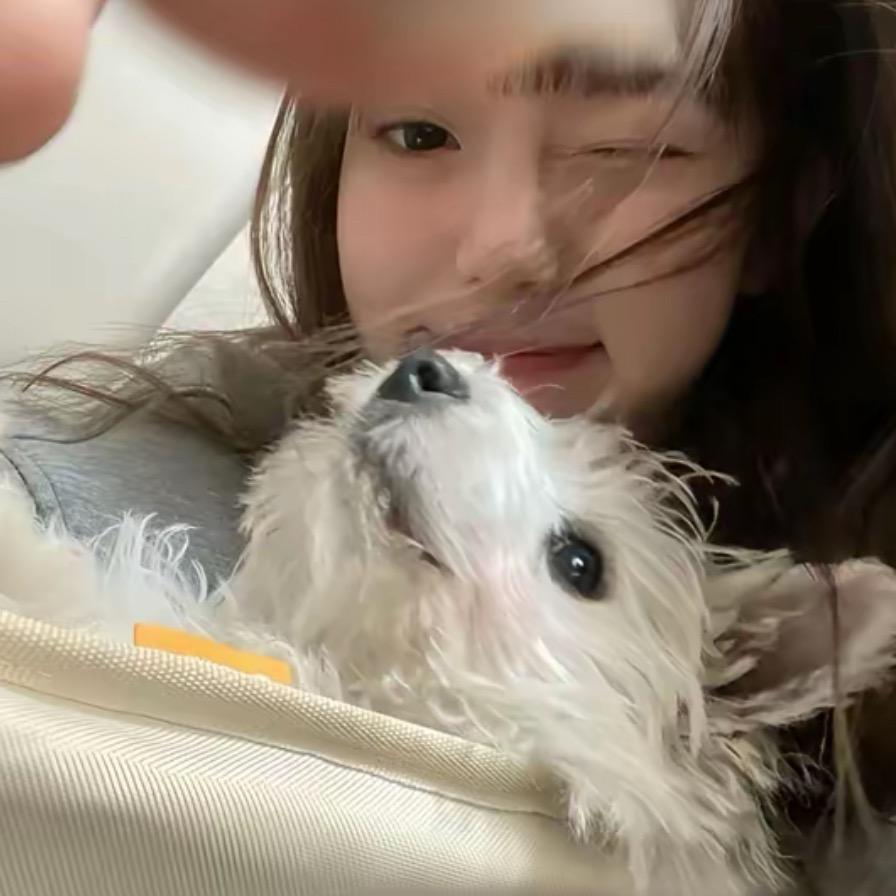 嘉佳