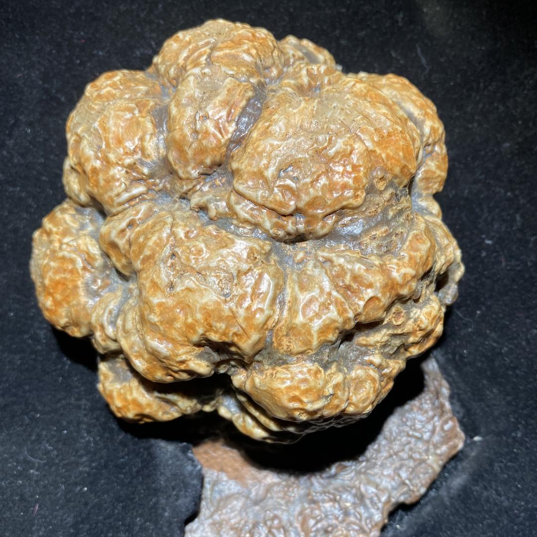 萧阳海外寻石
