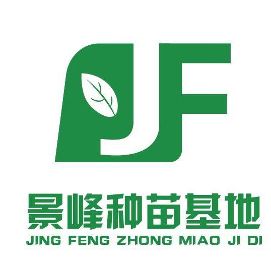 景峰农场特色树苗种子