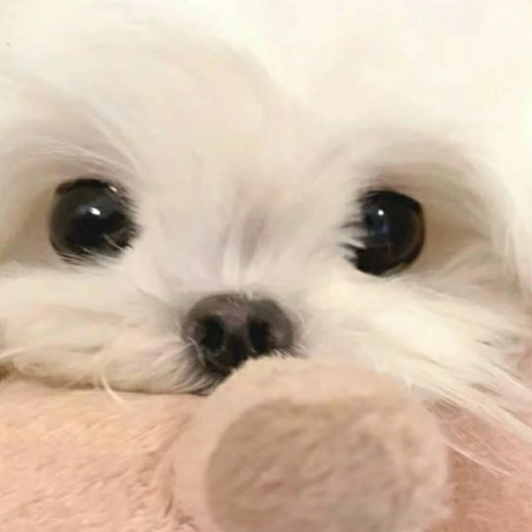 L00