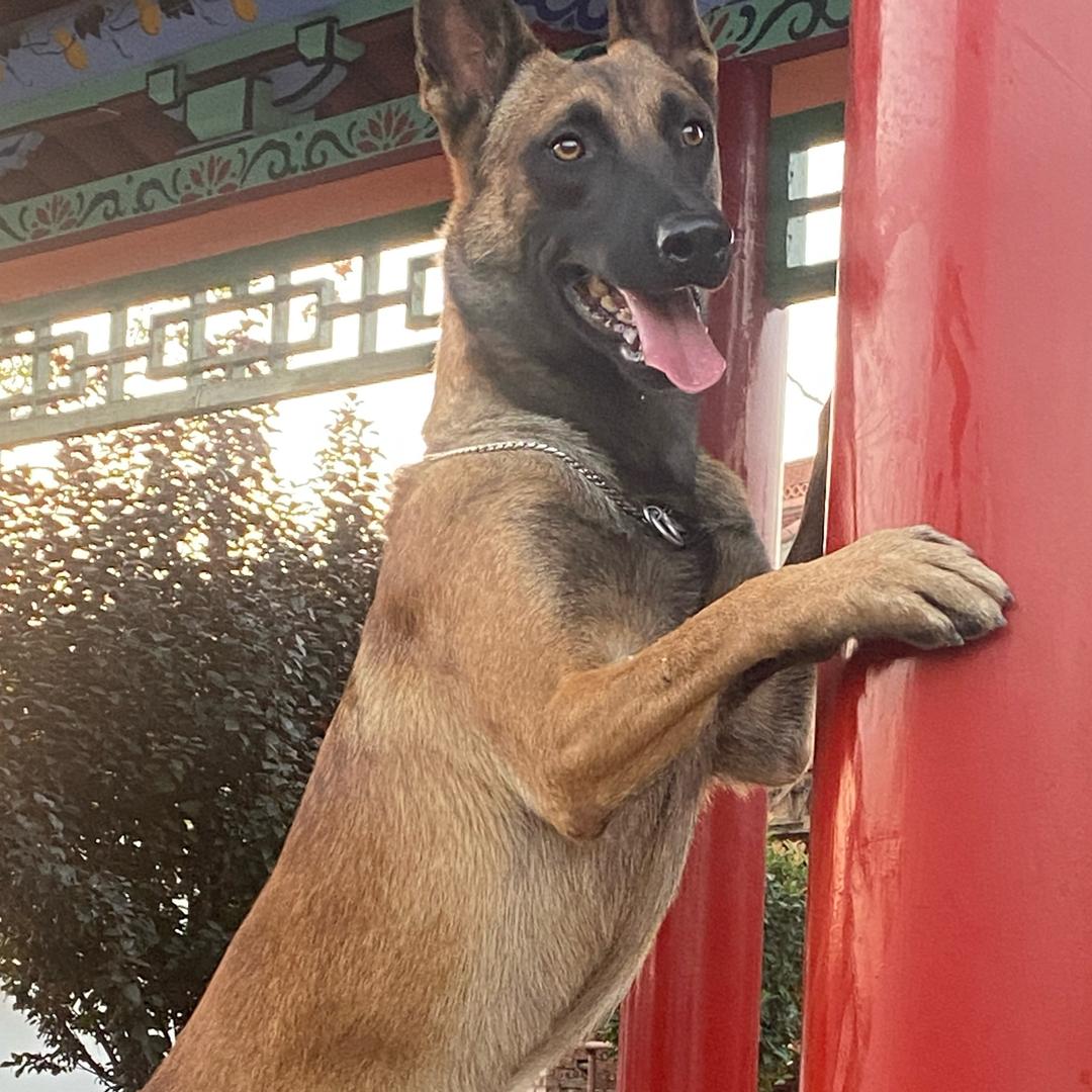 三泉奎大繁训俱乐部