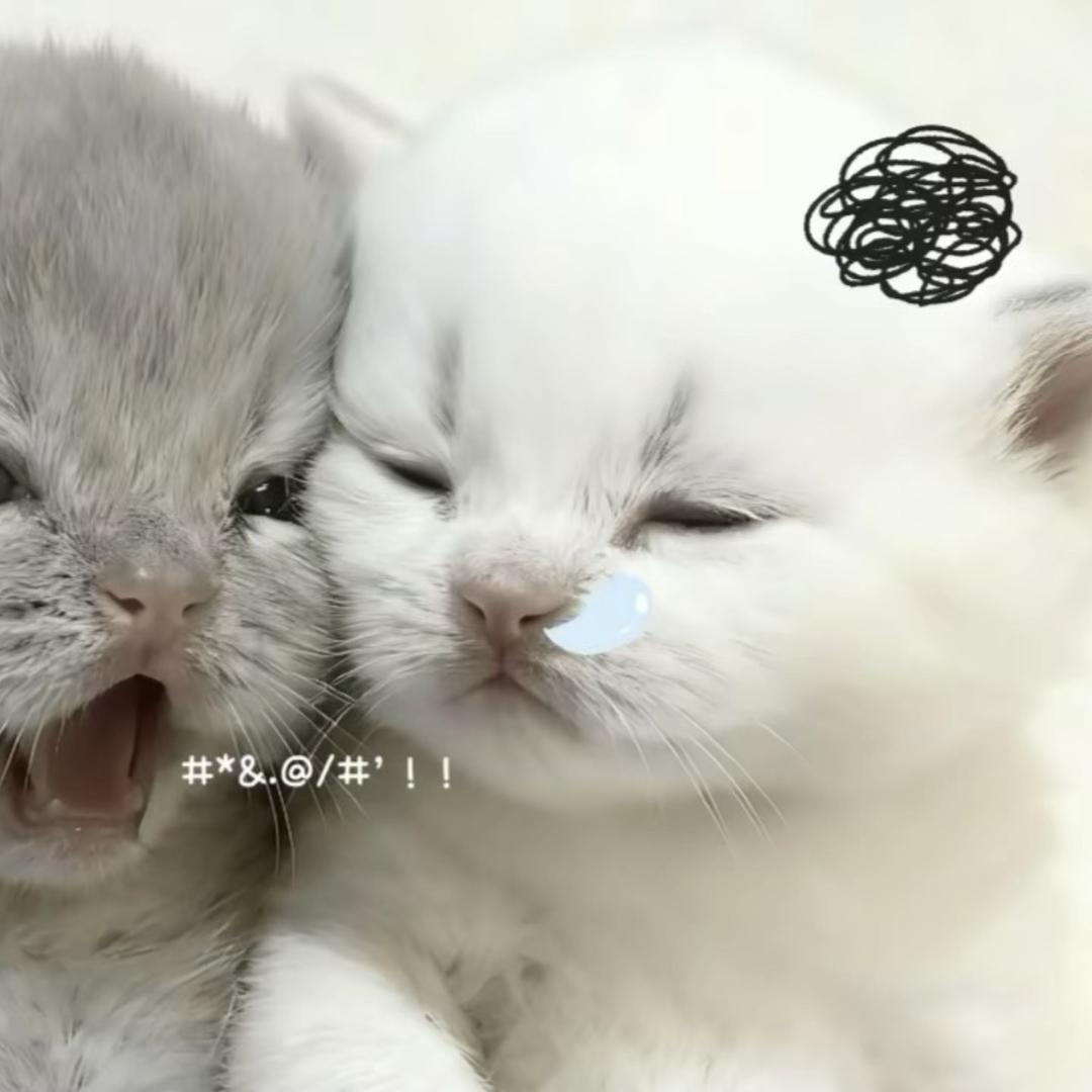 鲜嫩的冰淇淋
