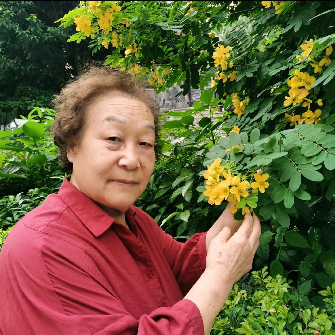 阳光照耀✨