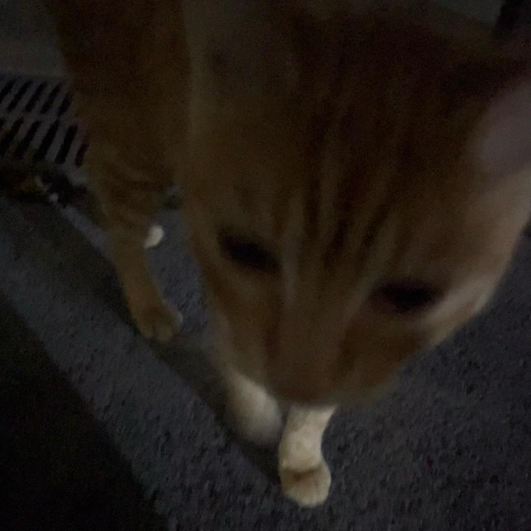 譀.