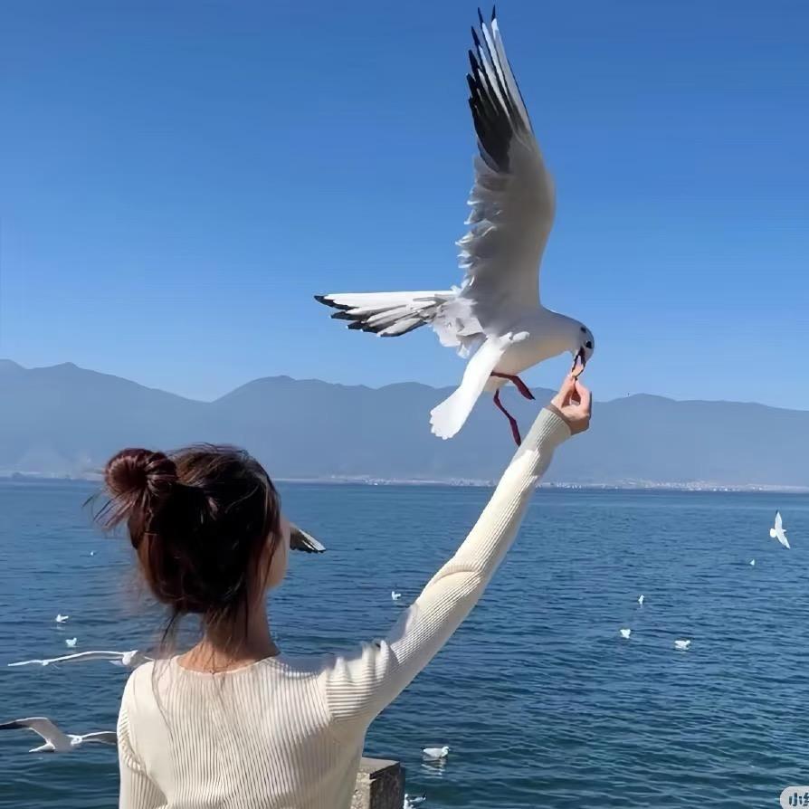 小媛子🍰