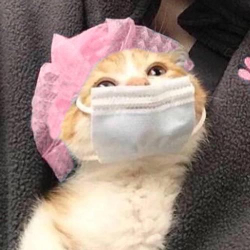 思想聚焦yt