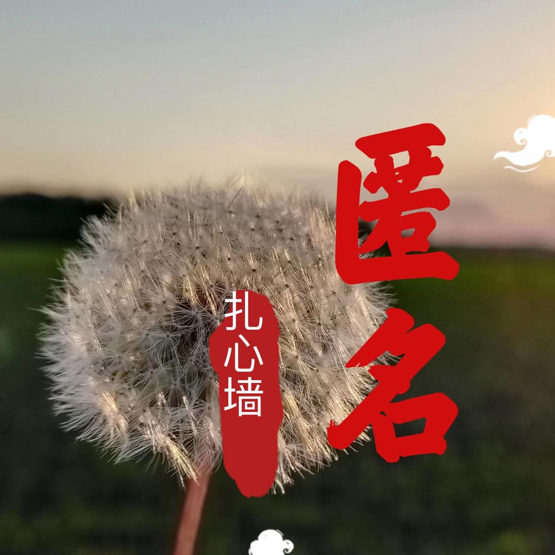 匿名扎心墙