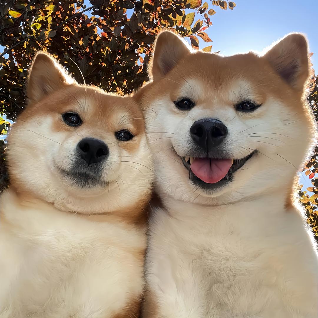 MMM