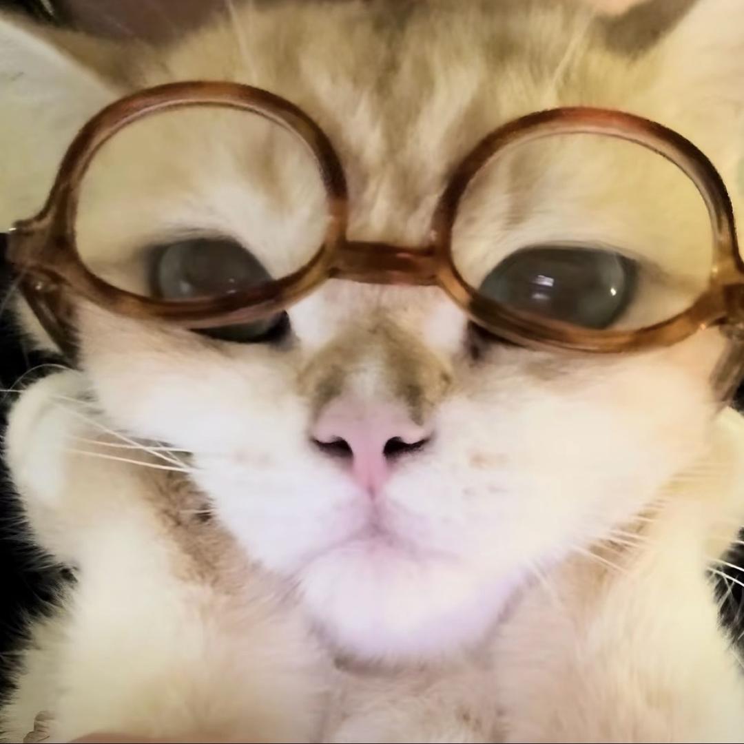 骑老爷爷闯红灯