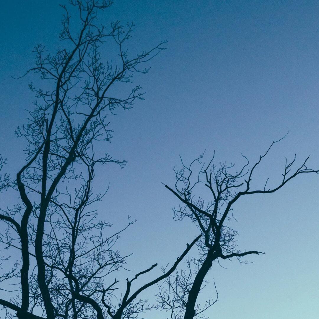 信阳珞石企业营销策划有限公司