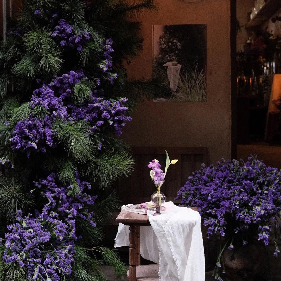 Llychee爱荔官方号