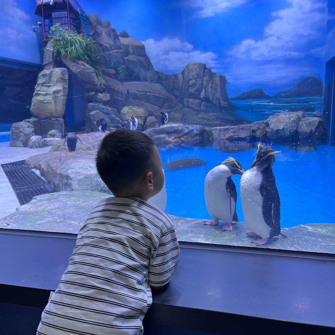 梅可可与郭女士🌿