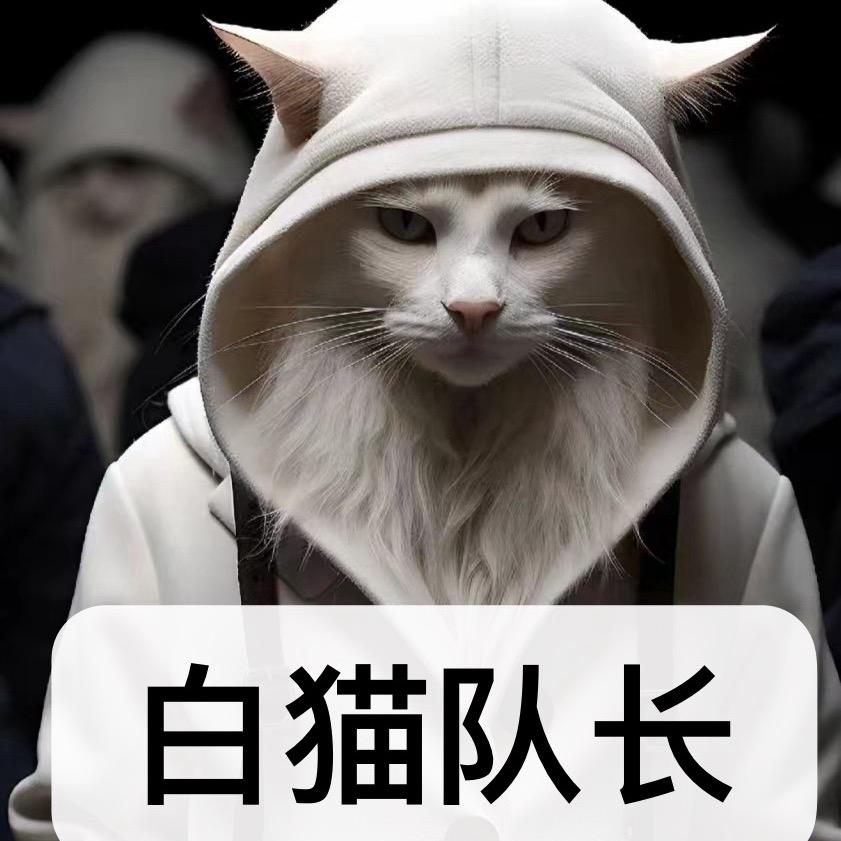 白猫队长