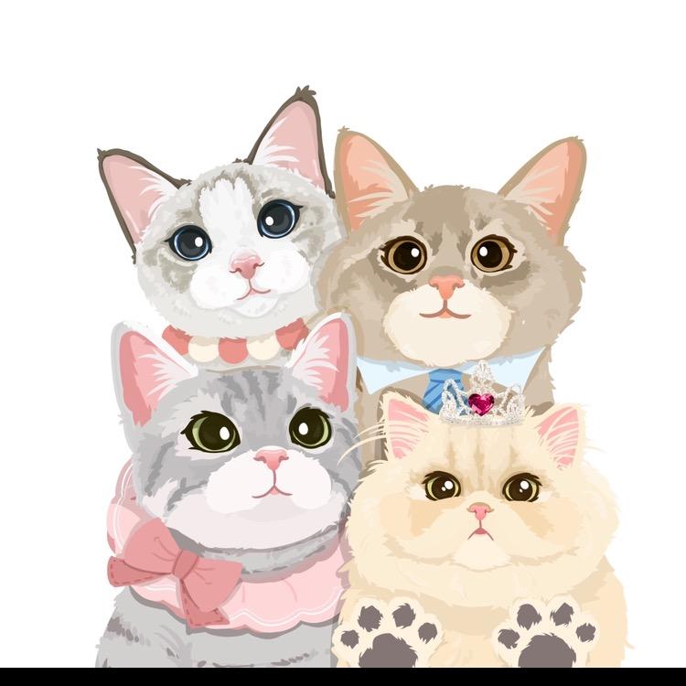 居然是猫
