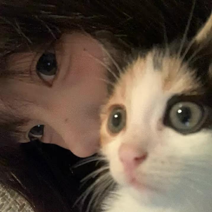 虫虫