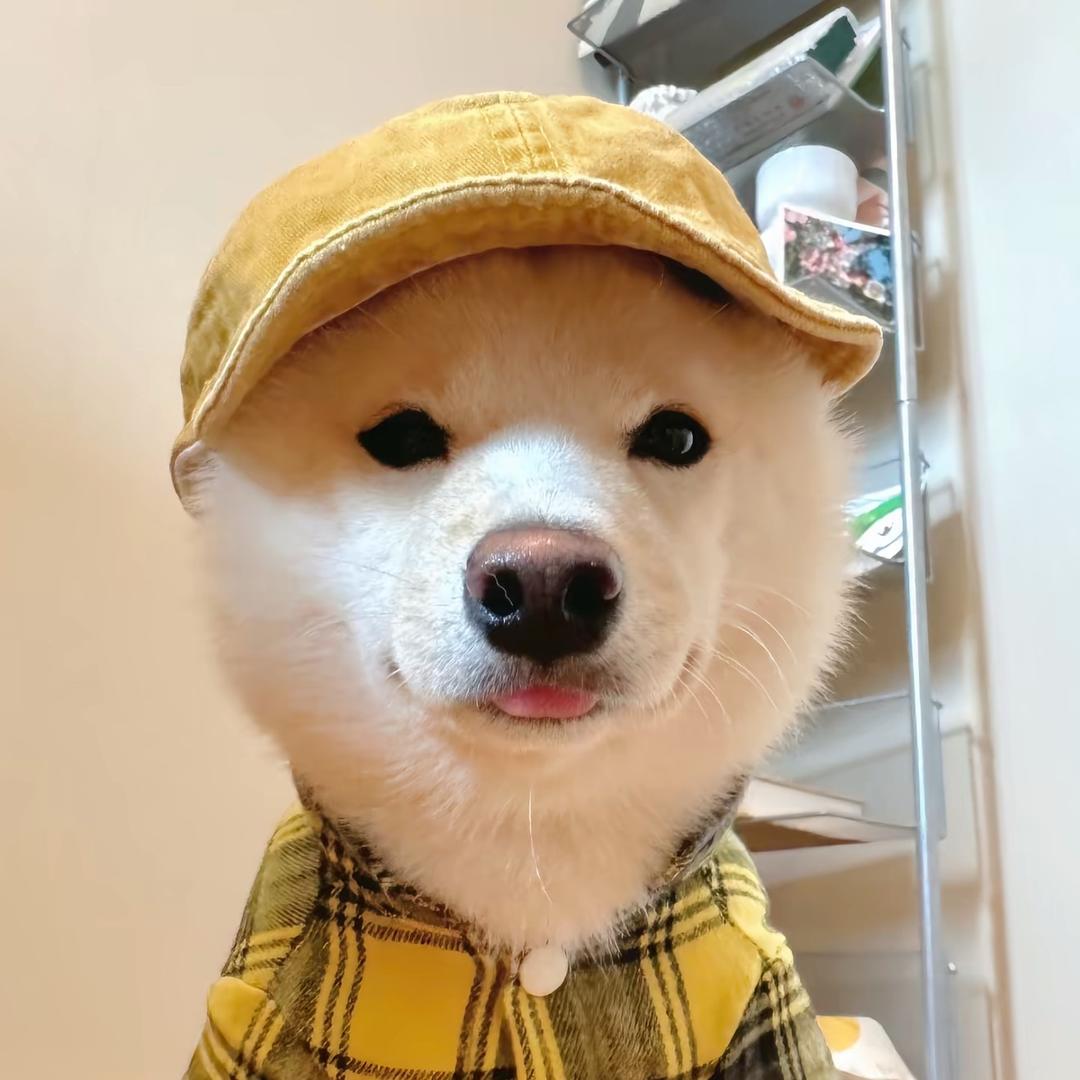 二胎宝爸封蛋