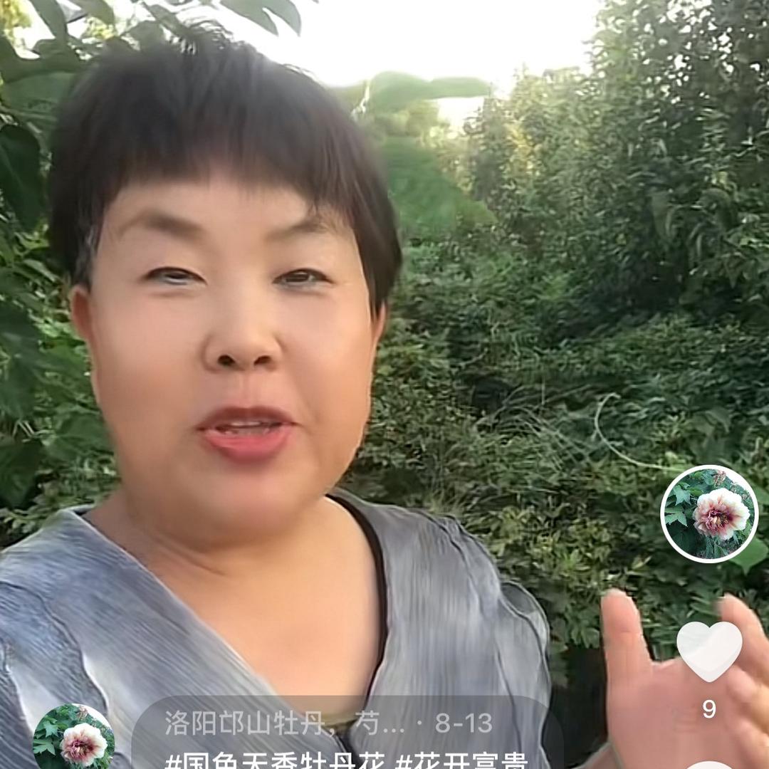 洛阳邙山牡丹，芍药园