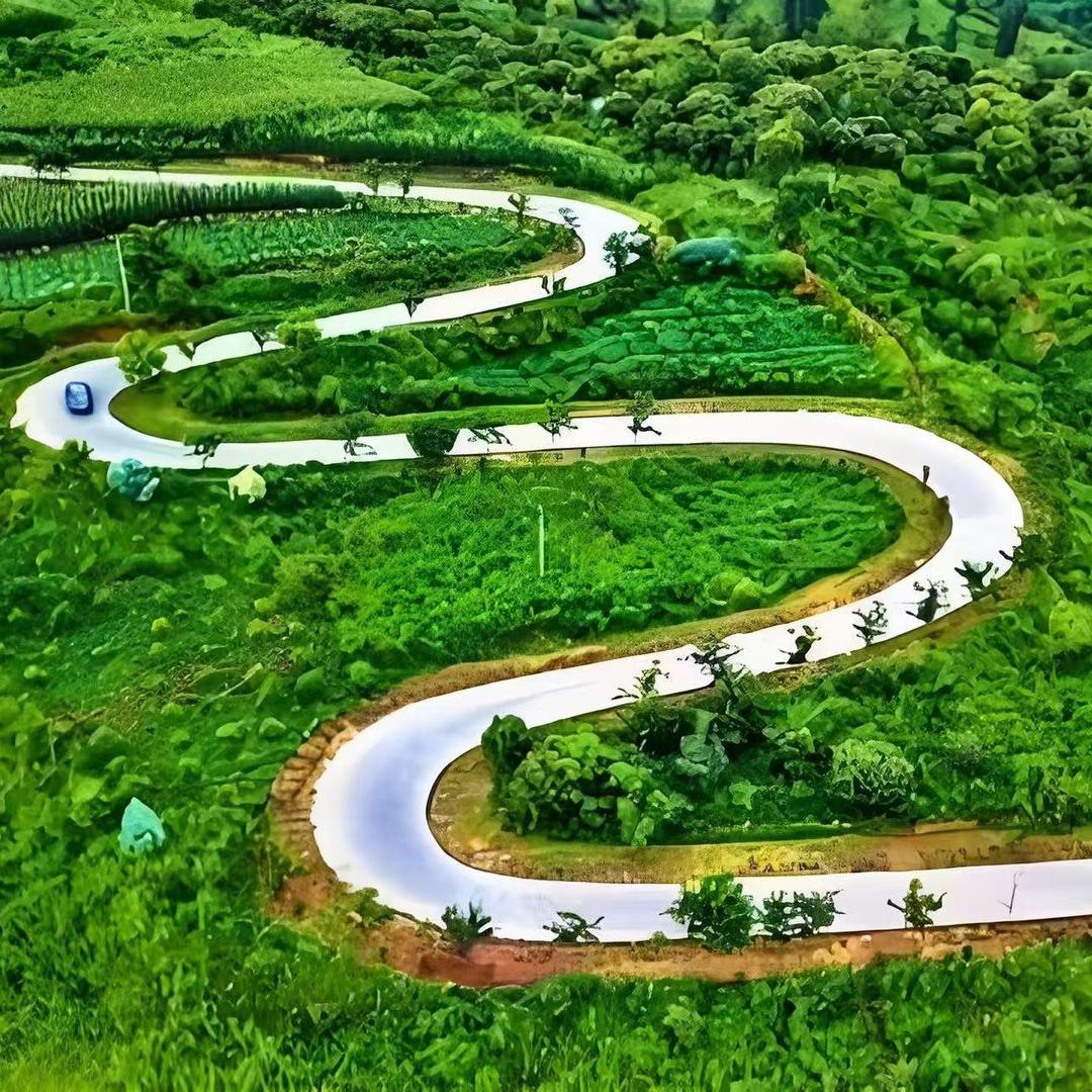 💕Jiᴗang·ᰔᩚ