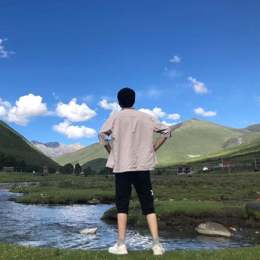 宠物先锋